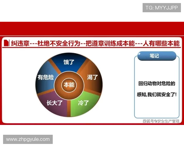 PG电子网赌平台最新安全指南帮助玩家规避风险实现稳定盈利 PG电子网赌平台最新安全指南帮助玩家规避风险实现稳定盈利